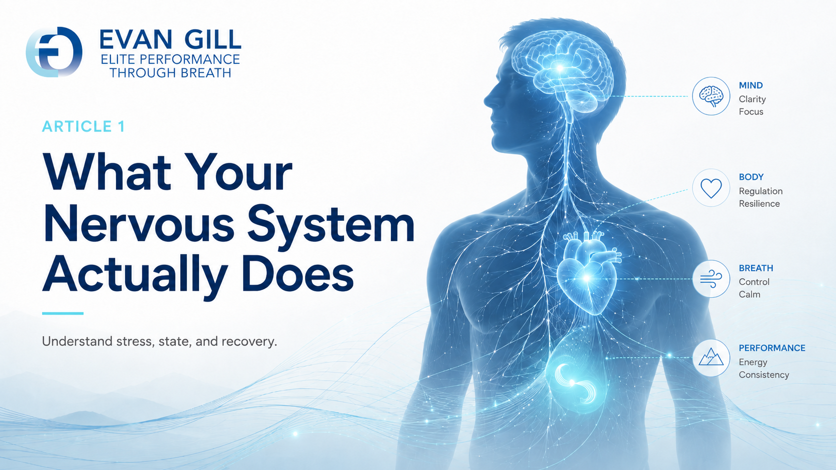 What Your Nervous System Actually Does