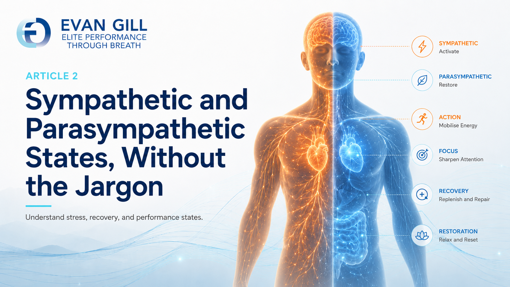 Sympathetic and Parasympathetic States, Without the Jargon